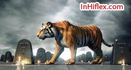 Cảm hứng của nghệ thuật 3D