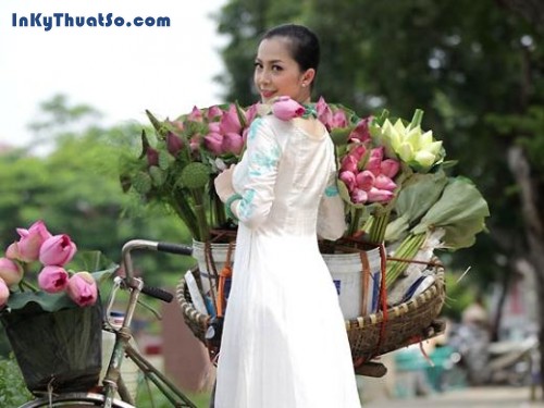 Linh Nga, nồng nàn với sen Việt