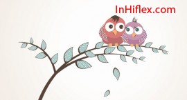 Mẫu thiết kế name card cho các ông chủ vườn nuôi chim