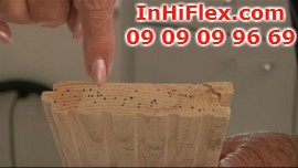 Sàn gỗ chống mối