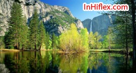 Ý tưởng thiên nhiên trong thiết kế