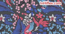 Ý tưởng thiết kế hiflex đẹp